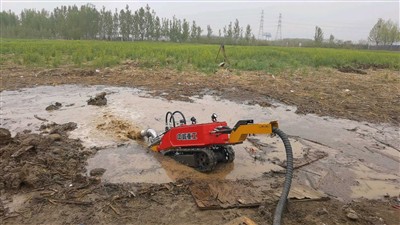 Structure Composition of Amphibious Dredging Robots